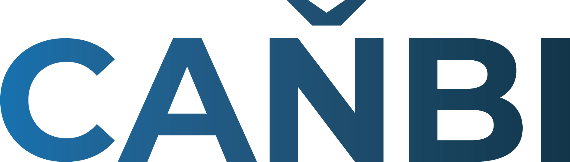 Canbi - Intelligent AI Solutions